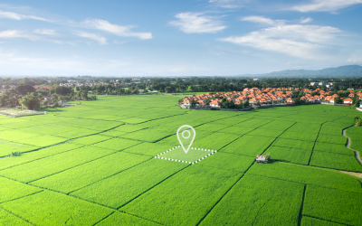 Premium Farm Plots