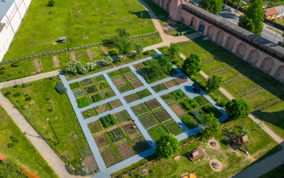 Flexible Plot Sizes