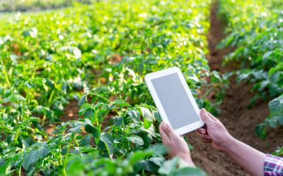 Farm Management